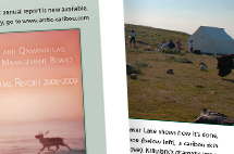 Caribou News in Brief newsletter